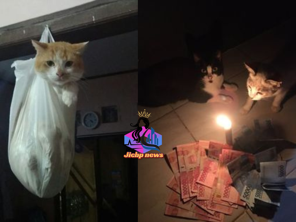 Pelindungan Hukum Penyiksaan Kucing